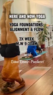 💪🏼If you’re looking to foster a stronger, more mindful practice, our Monday/Wednesday morning crew would love to welcome you. Dina Denis-Paolucci guides our “Foundations: Alignment & Flow” class with experience andwisdom, focusing on the key alignments that make your practice safe and powerful.

It’s the perfect blend of powerful, intentional work and mindful movement. Come for yoga, stay for community.

Find your center with us:
Mondays & Wednesdays @ 9:30 AM
Here and Now Yoga, Wellness & Arts Collective,
22 Verbena Ave., Floral Park, NY

Bring / rent a mat. Register link in bio. 

#FloralParkNY #FloralParkBusiness #nassaucounty #HereAndNowYoga #LongIslandYogaCommunity #LIWellness #AlignmentAndFlow #YogaFoundations #VinyasaFlow #findyourflow #inmycommunity #myyogastudio #floralpark #yogastudionearme #yogaforall 🧘🏻‍♀️