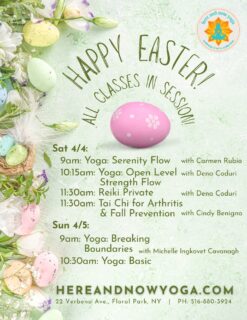 Happy Easter weekend!! 🐣🌸
We’re open and running our full regular schedule—come move with us before the Easter Bunny hides all your eggs 🥚😉

Saturday, April 4
9 AM – Yoga-Serenity Flow with Carmen Rubio
10:15 AM – Yoga-Open Level Strength Flow with Dena Coduri
11:30 AM – Reiki (Private Session) with Dena Coduri in our Balsana Treatment Room
11:30 AM – Tai Chi for Arthritis & Fall Prevention on the main floor (Anahata studio) with Cindy Benigno

Sunday, April 5 – Happy Easter! 💛
9 AM – Yoga: Breaking Boundaries with Michelle Ingkavet Cavanagh
10:30 AM – Yoga: Basic with Michelle Ingkavet Cavanagh

Move your body, clear your mind, and make space for all the joy (and chocolate 🍫)

Here and Now Yoga, Wellness & Arts Collective
22 Verbena Ave., Floral Park, NY
#easteryoga #hereandnowyoga #floralpark #floralparkny #happyspring