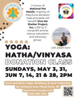 Help us welcome Adam Kern to the studio! 👋🏼😃

Adam will be leading our Sunday DONATION YOGA classes throughout May and June—an opportunity to move, breathe, and give back.

In honor of National Pet Month 🐾, the majority of proceeds from these classes will benefit Give Me Shelter Project, Inc.—a 501(c)(3) nonprofit dedicated to animal rescue, education, and advocacy.
🐱
Feel good, do good, and support a cause that makes a real difference.
All are welcome.
Bring/rent a mat. 
🧘🏻‍♂️
Here and Now Yoga Wellness & Arts Collective, 22 Verbena Avenue, Floral Park, NY
#hereandnowyoga #vinyasaflow #donationyoga #paywhatyoucan #floralpark 🙏🏼