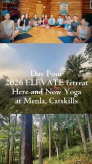 DAY FOUR • ELEVATE 2026 🌿⛰️

And just like that… our final day in the Catskills. 💚

We closed out our 2026 ELEVATE retreat with a little chakra exploration woven into our morning meditations, our final delicious meals, a little more spa time, and plenty of those bittersweet “see you next year” hugs.

Four days of yoga, movement, meditation, sound, nature, nourishment, laughter, deep breaths, great conversations, and simply being present. The kind of weekend that reminds you to slow down, reconnect, and make space for what matters.

And yes… we’ll be back. 😉

✨ SAVE THE DATE: 2027 Catskills Retreat: August 5–8, 2027• Here & Now Yoga

Until then…
Stay present. Stay connected. Join us 
🏜️ October 14-18, 2026: Desert Wellness—Colorado/New Mexico Hot Springs

🏝️ February 2-7, 2027: Winter in Paradise, A Dominican Yoga & Wellness Retreat 

#HereAndNowYoga #CatskillsRetreat #YogaRetreat #WellnessRetreat #retreat